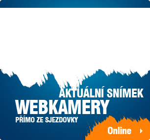 Snímek webkamery